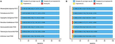 Draft Genomes and Comparative Analysis of Seven Mangrove Rhizosphere-Associated Fungi Isolated From Kandelia obovata and Acanthus ilicifolius